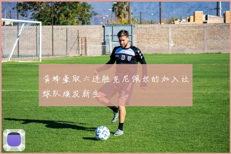 黄蜂豪取六连胜克尼佩尔的加入让球队焕发新生