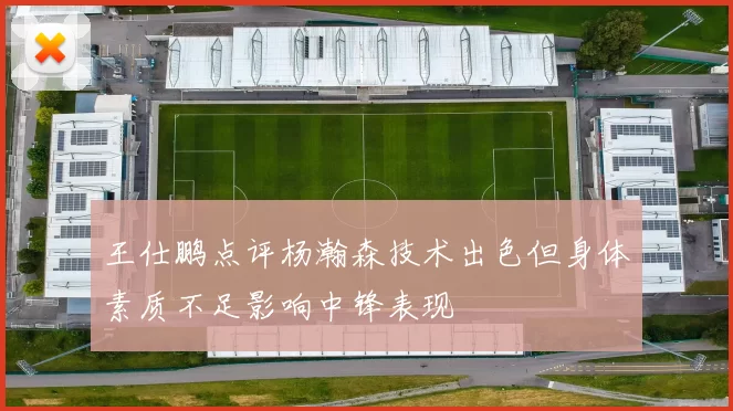 王仕鹏点评杨瀚森技术出色但身体素质不足影响中锋表现